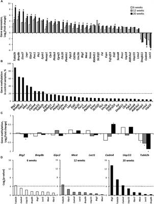 Gene Expression and DNA Methylation Alterations During Non-alcoholic Steatohepatitis-Associated Liver Carcinogenesis